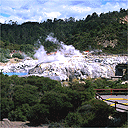 Whakarewarewa thermal area, Rotorua