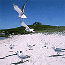 Scilly Isles