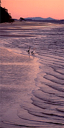 Fraser Island