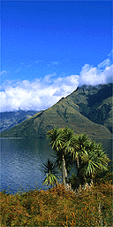 Wakatipu Lake, New Zealand