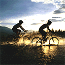 Cyclists