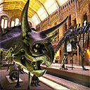 Dinosaurs, Natural History Museum