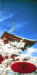 Kyoto, Japan