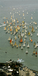 Cowes week