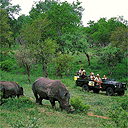 Mala Mala, South Africa