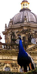 Castle Howard