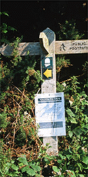 Pembrokeshire coastal walk