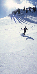 Skier