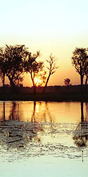 Kakadu National Park, Australia