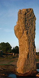 The standing stones at Carnac