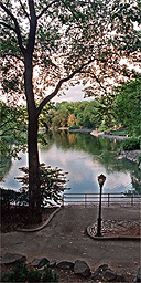 Central Park, New York