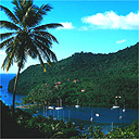 St Lucia harbour, Caribbean