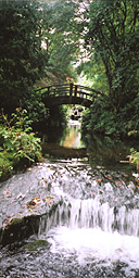 Japanese garden in the grounds of Stobo castle