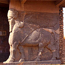 Winged bull, Nineveh