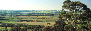 View across Barossa winery, Australia