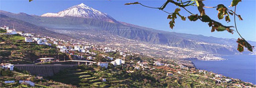 Puerto de la Cruz, with Mount Teide in the background