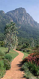 Table Mountain, Cape town, South Africa