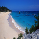 Bermuda beach