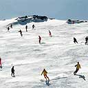 Skiers on the slopes