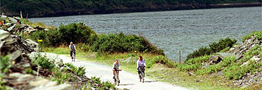 Camel trail, Cornwall