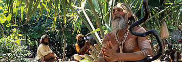 Sadhus, Rishikesh