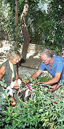 Peter gardening with a pupil, Symi