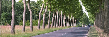 Road through the Loire Valley, France