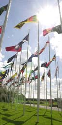 Commonwealth flags, Manchester