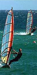 Windsurfers