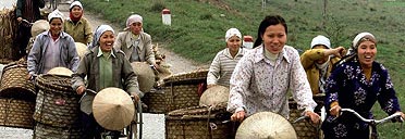Vietnamese women cycling