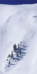 A lone skier enjoys the solitude in Aspen