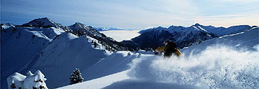 Skiing at Kicking Horse