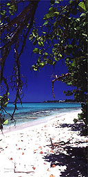 Seven Mile Beach, Grand Cayman, Caribbean