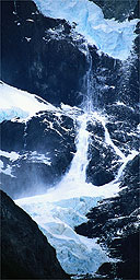 Ice flow in Parque Pumalin, Chile