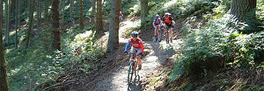 Glentress Forest, Scotland