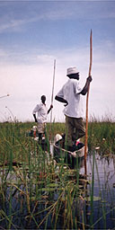 Canoeing in the Otavango Delta