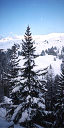 View from chalet, La Plagne