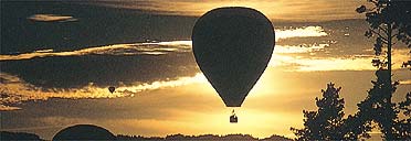 Early morning balloon ride over the Hunter Valley