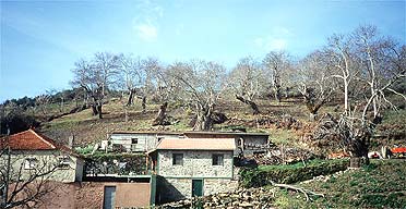 Tras-os-Montes, northern Portugal