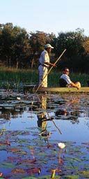 Mokoro ride in the Okavango Delta