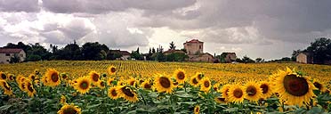 Gascony, France