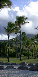 The island of Nevis, Caribbean