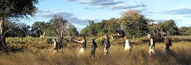 Walking safari in Botswana
