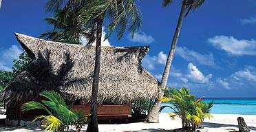 Kia Ora Sauvage, Tahiti