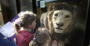 Natural History Museum