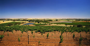 Barossa Valley, Australia
