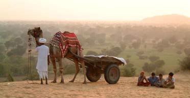 Camel ride, Rajasthan