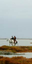 Horseriding in France