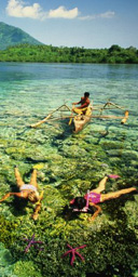 Snorkeling, Sulawesi, Indonesia