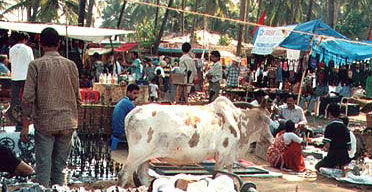 Market, Goa